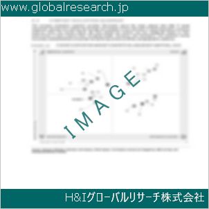 グローバルリサーチ調査資料のイメージ
